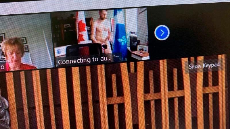 Canadian lawmaker caught naked during video conference 