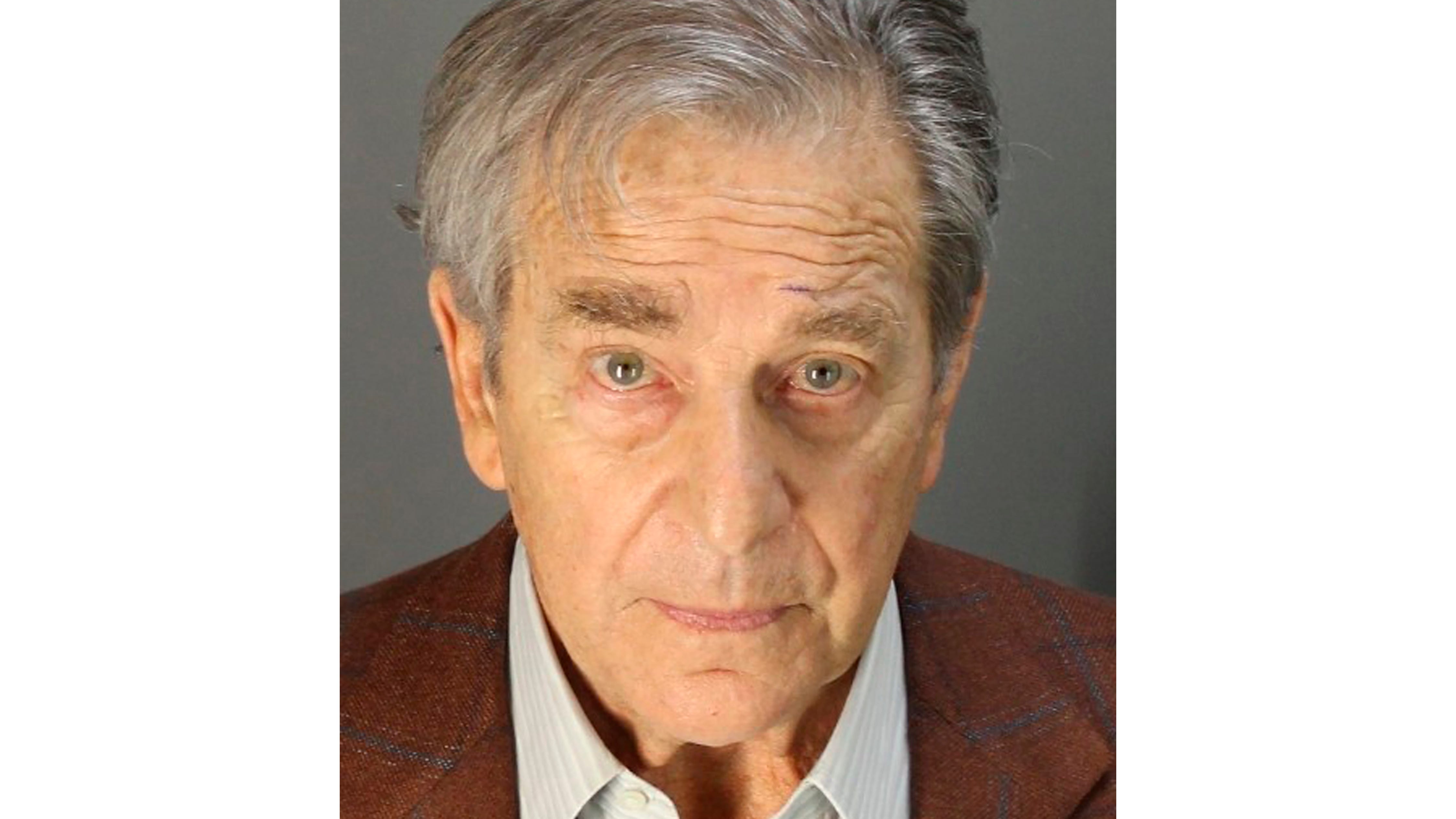Paul Pelosi gets 5 days in jail, 3 years of probation in DUI