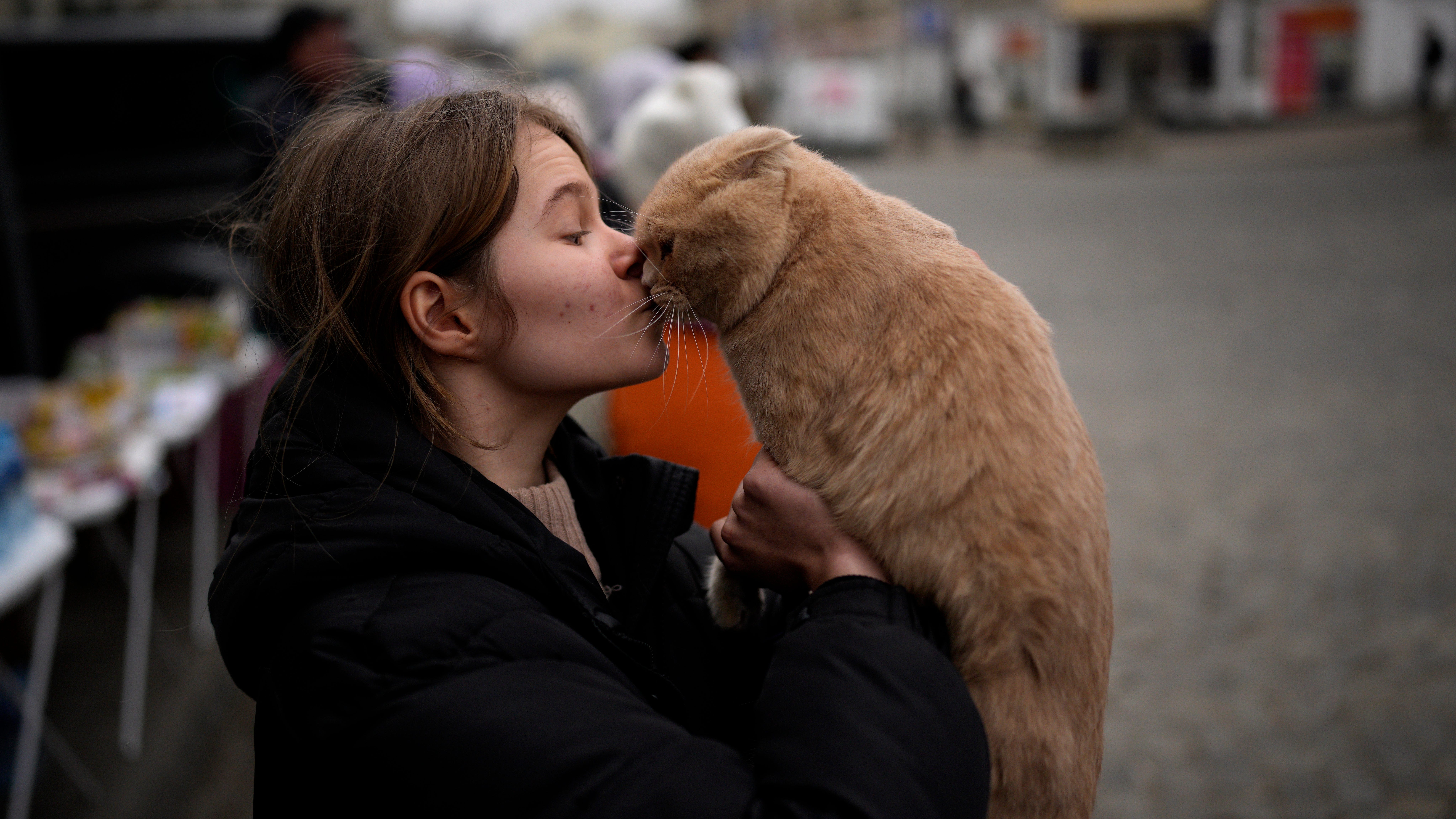 Fotos AP: Refugiados huyen de Ucrania junto con sus mascotas
