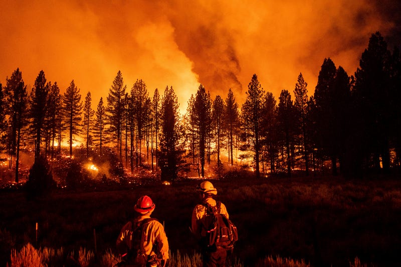 California Wildfires