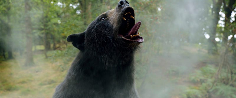 Film Review Cocaine Bear