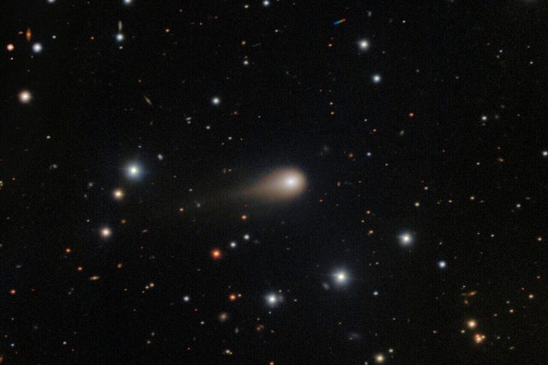 Interstellar Comet