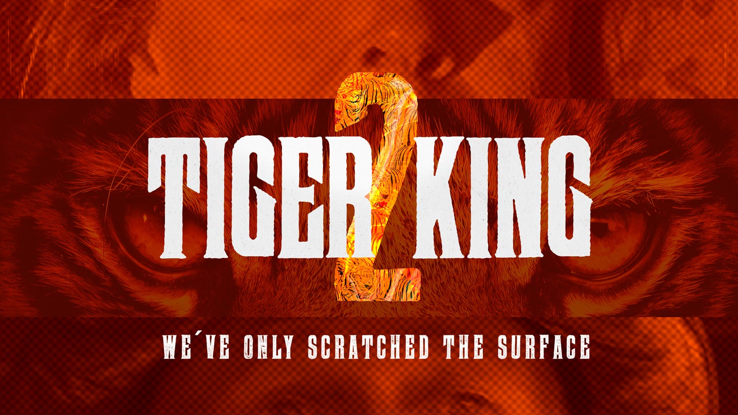 'Tiger King' star Carole Baskin sues Netflix over sequel