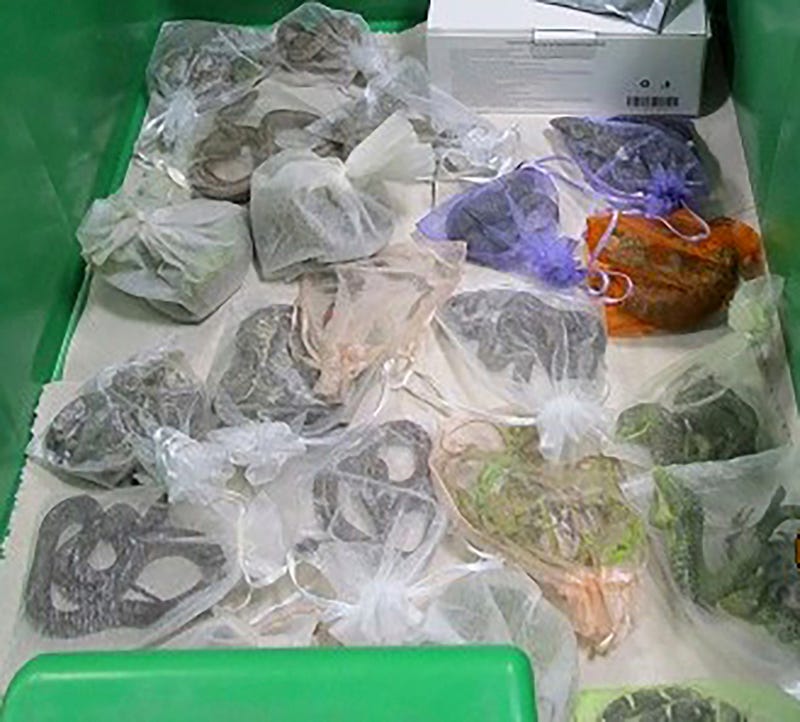 Smuggled Critters