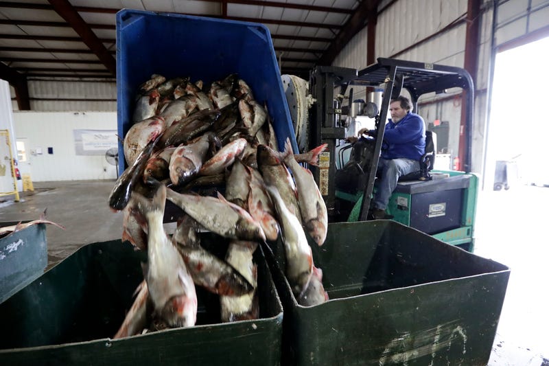 US Invasive Carp-Great Lakes-Spending