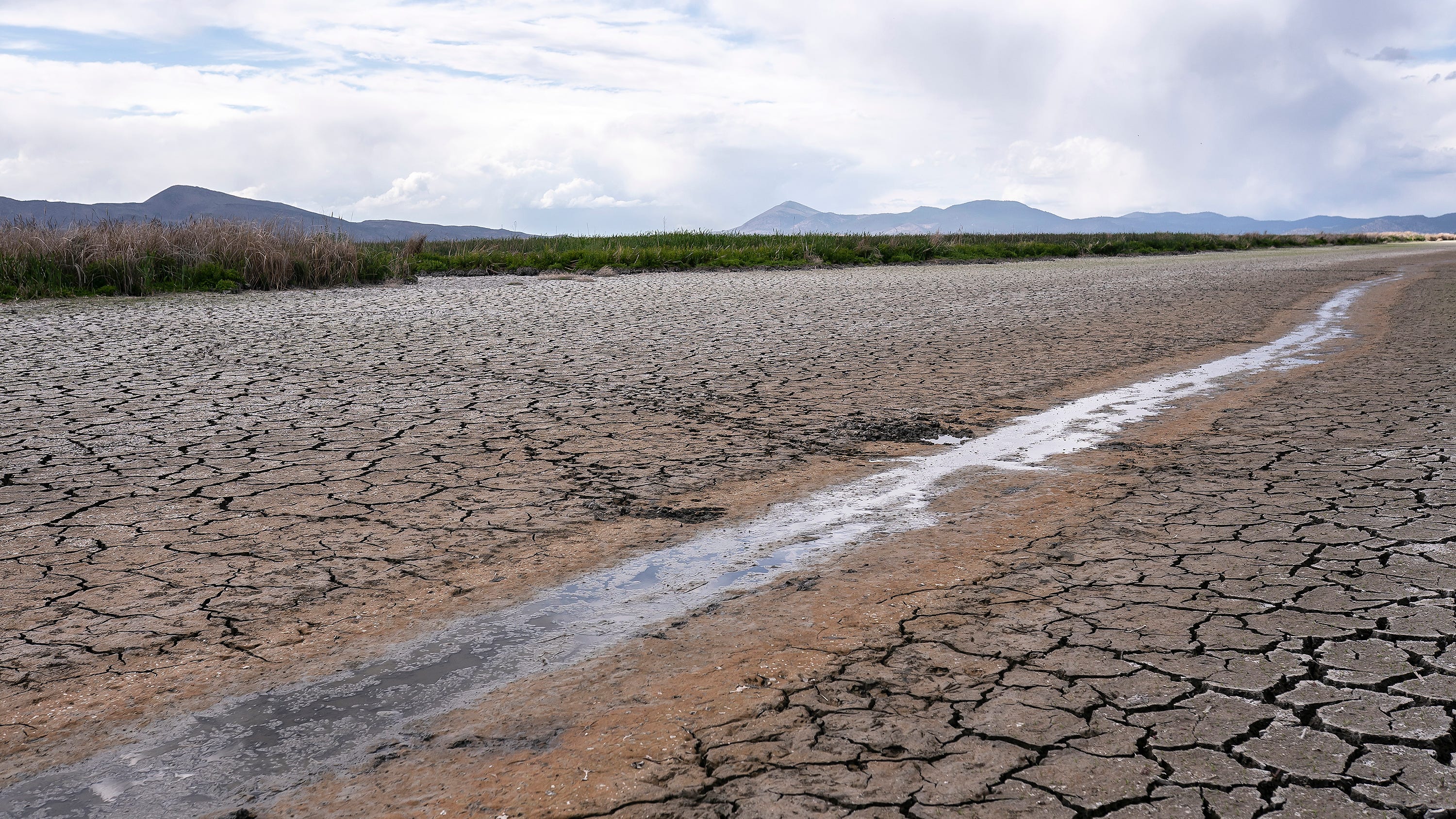 Judge tosses Trump rollback of clean water safeguards