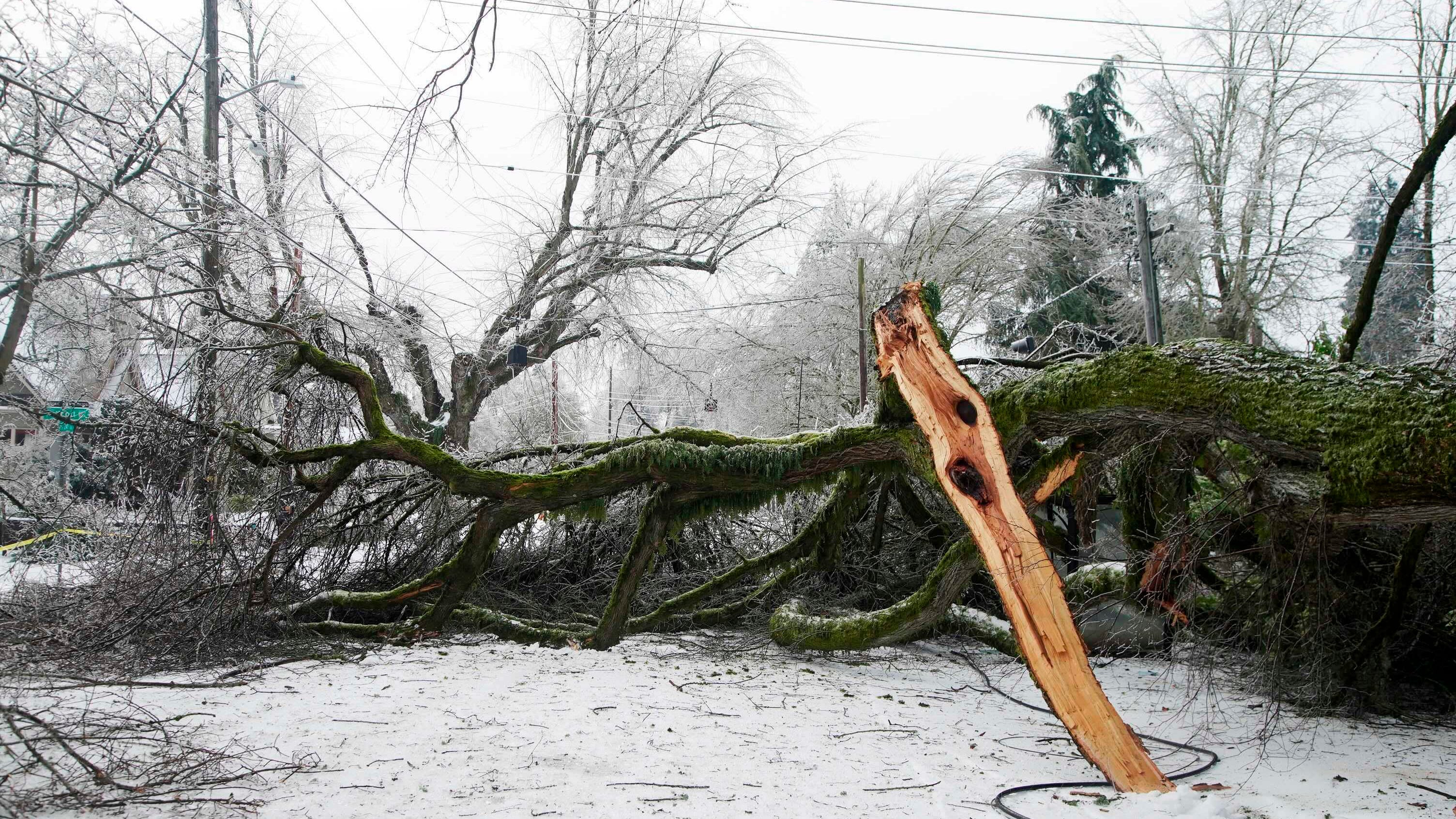 Snowstorm brings 'most dangerous conditions' seen by utility