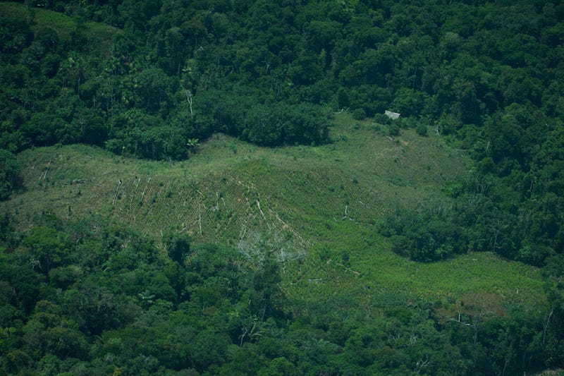 Peru Amazon Uncontacted Tribes