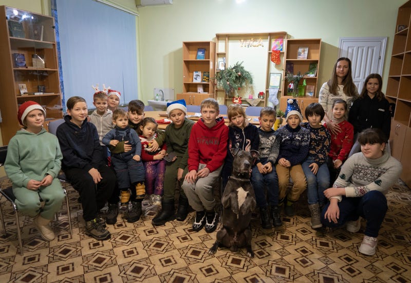 Russia Ukraine War Canine Therapy