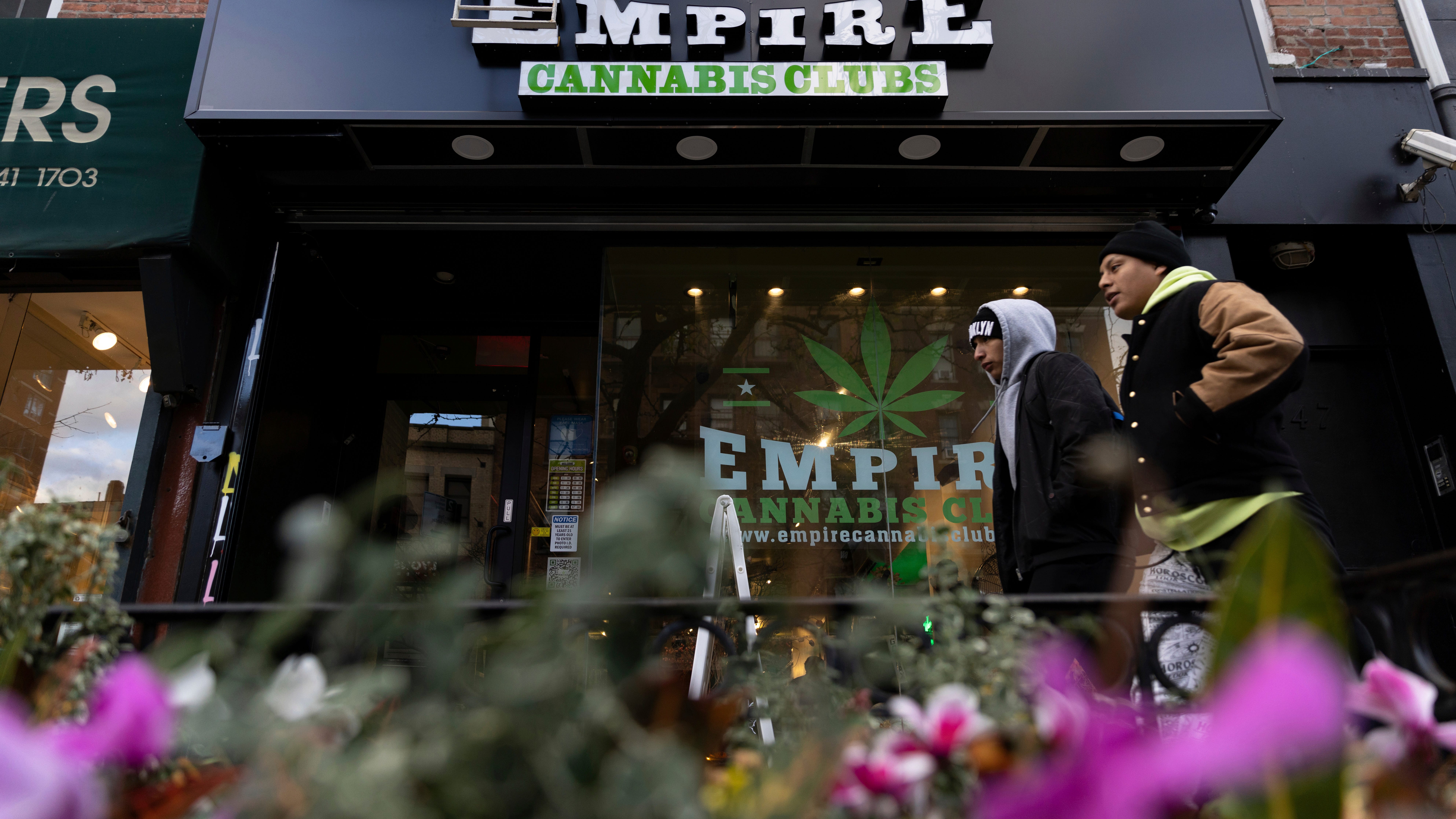 New York hasn't licensed any pot shops, yet they abound