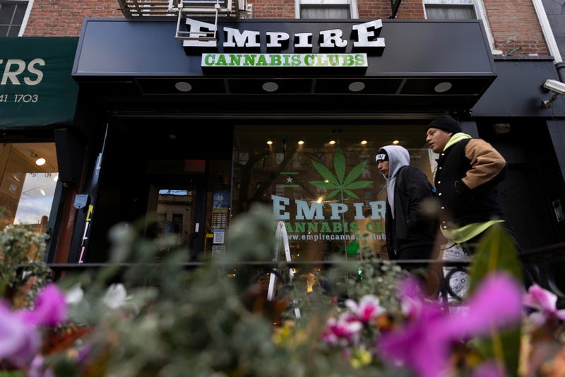 Marijuana New York