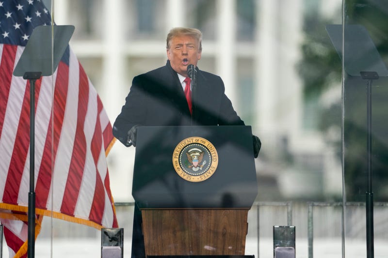 Election 2024 Trump Insurrection Amendment