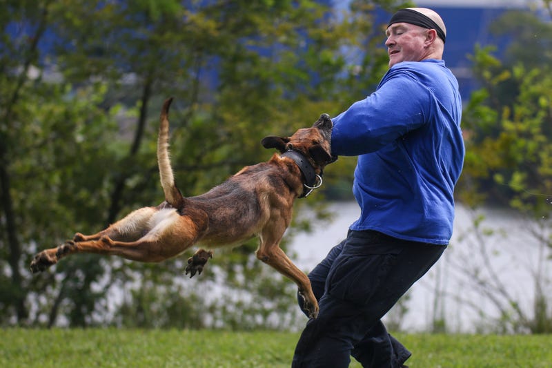 Police Dogs Kansas