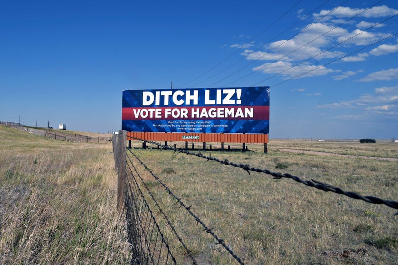 Election 2022 Wyoming Cheney