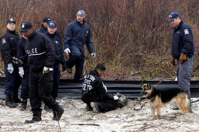 Long Island Serial Killings