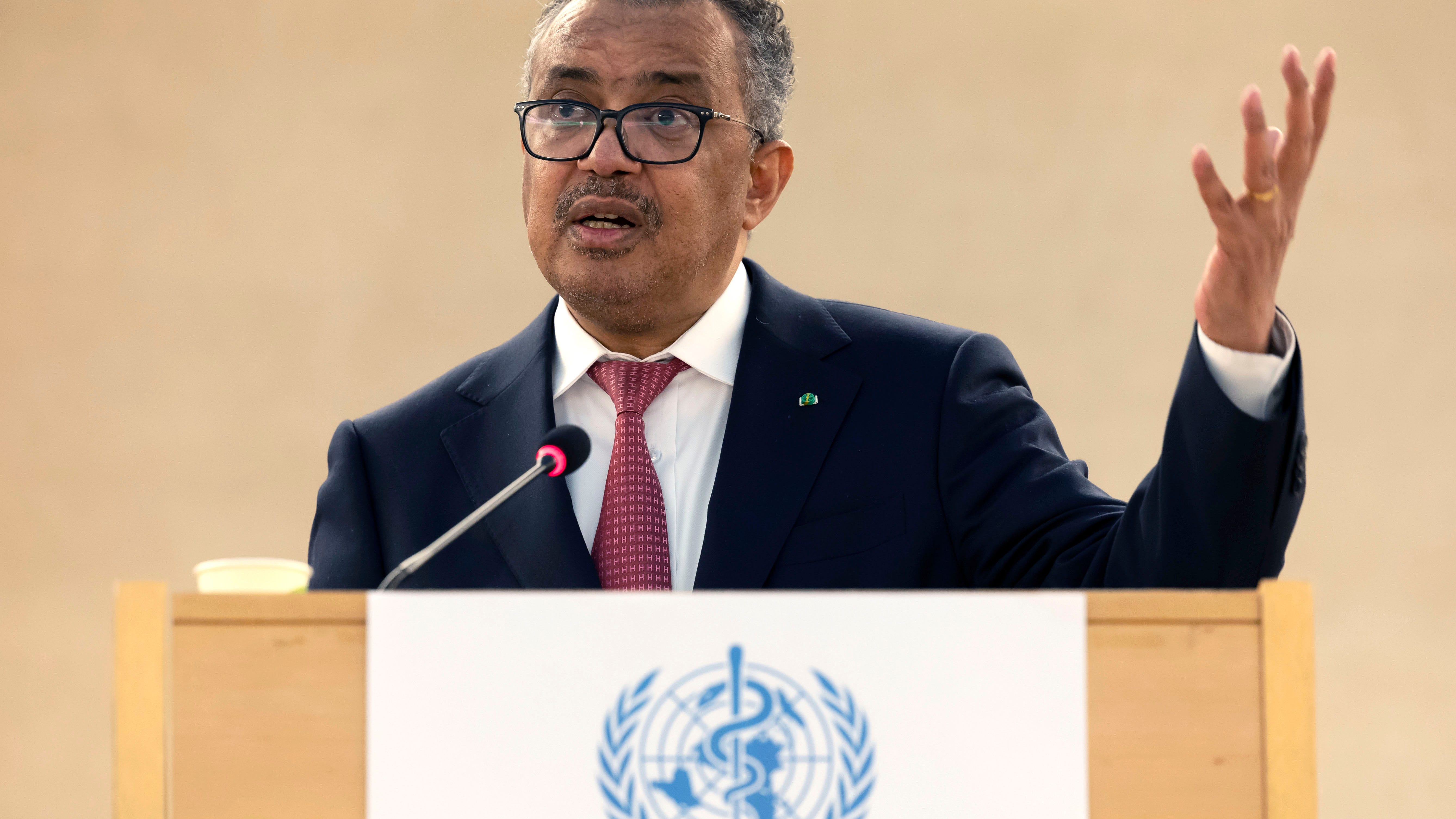 WHO chief advises reducing sex partners to avoid monkeypox