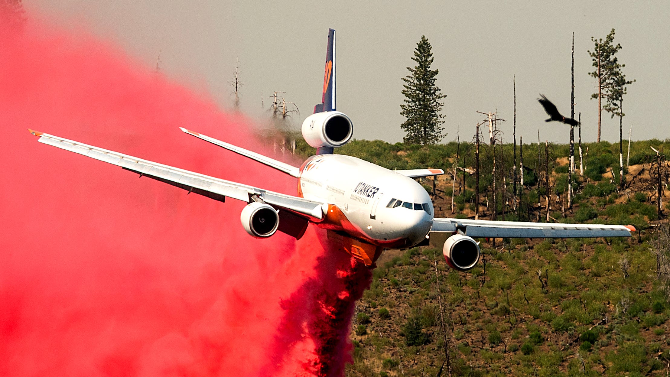 Firefighters slow growth of California blaze near Yosemite