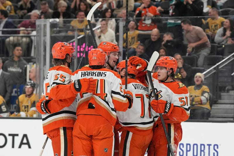 Ducks Golden Knights Hockey
