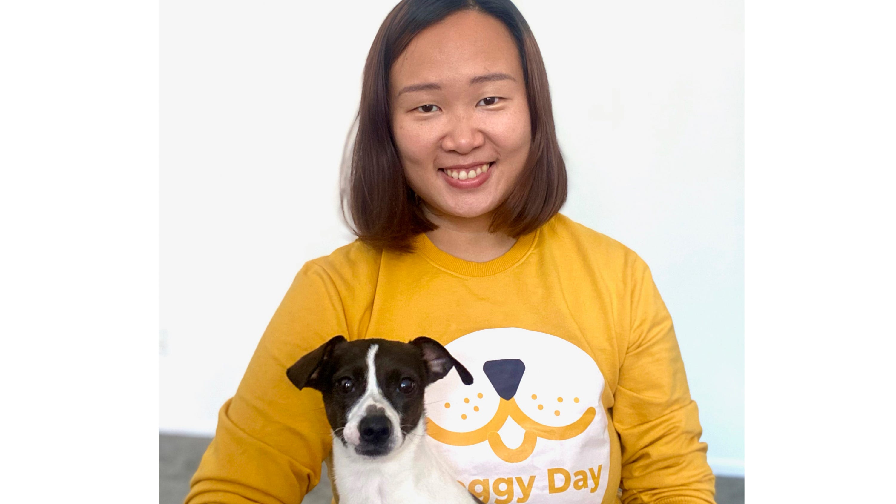 Bringing a dog along for a holiday stay? Make sure to plan