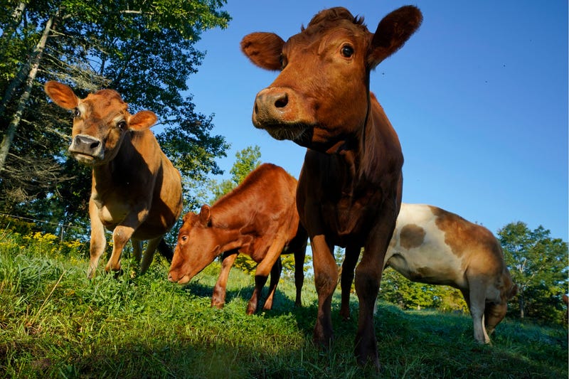 USDA Animal Labels