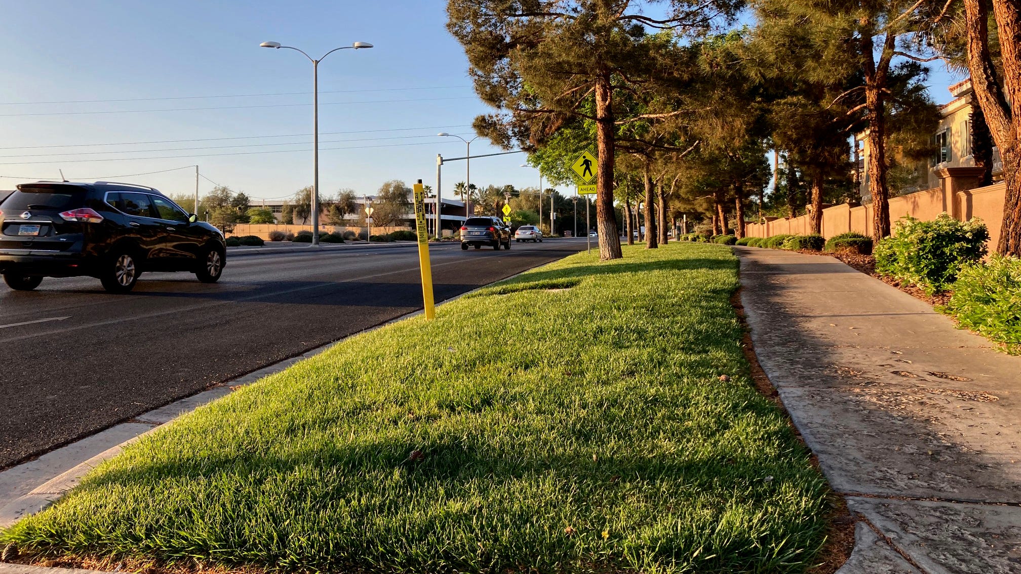 Drought-stricken Las Vegas proposes grass ban for new homes