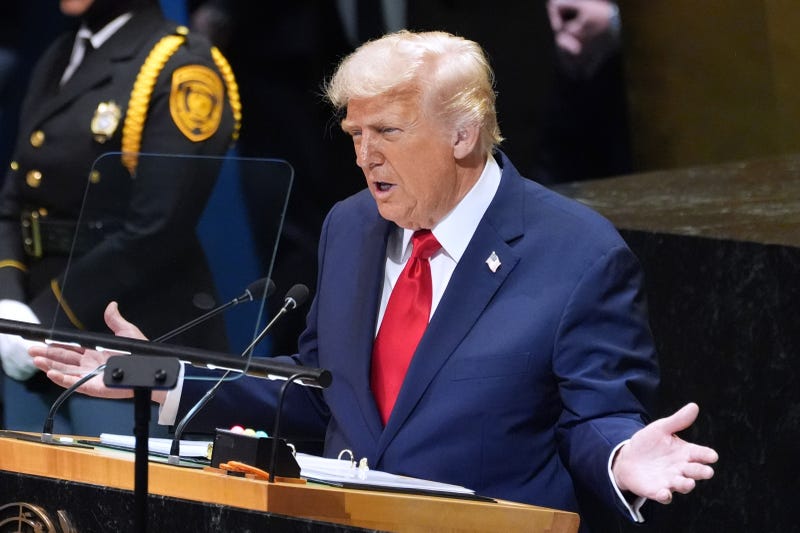 UN General Assembly