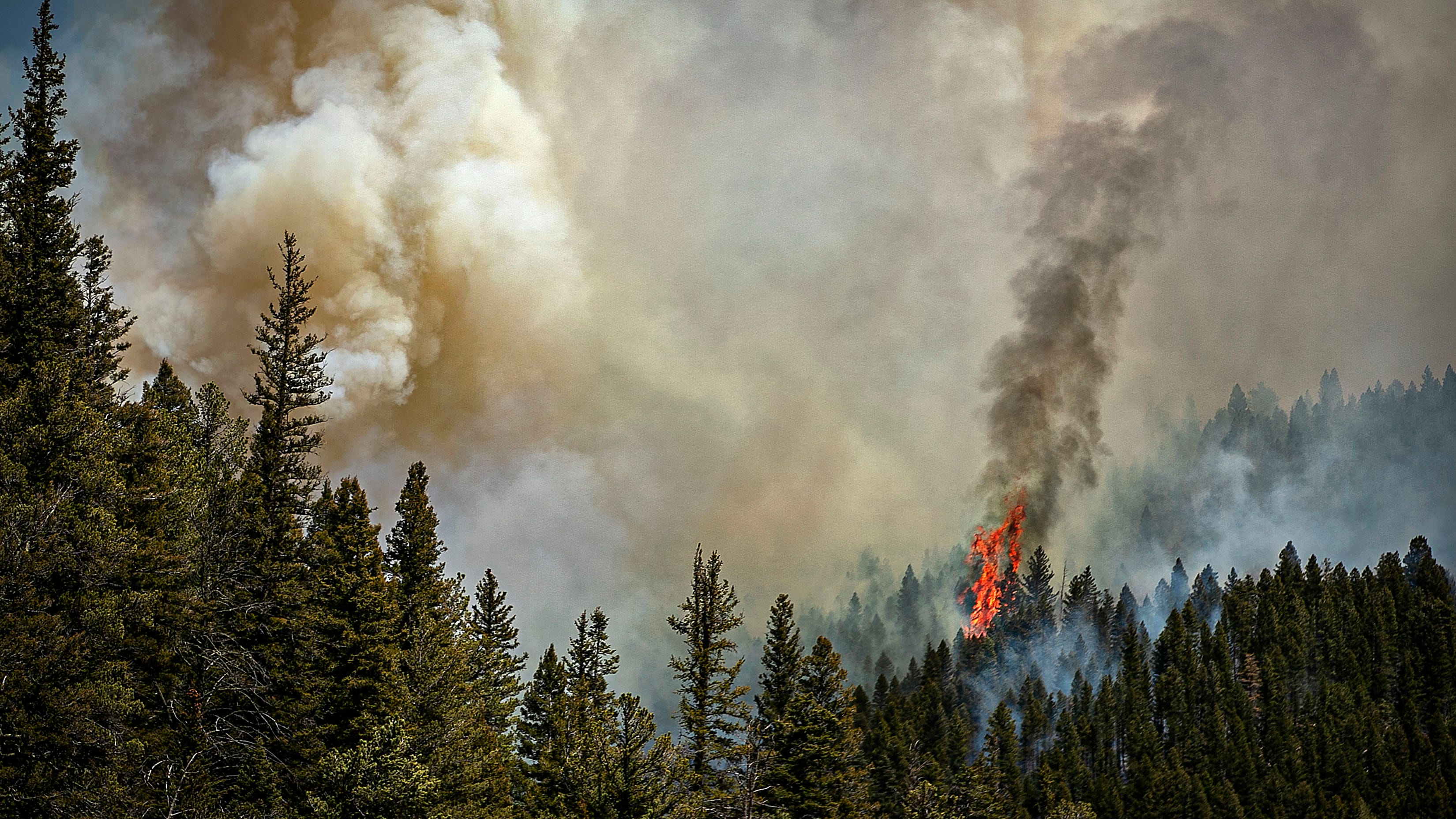 Gusty winds fuel wildfires in Texas, New Mexico, Colorado