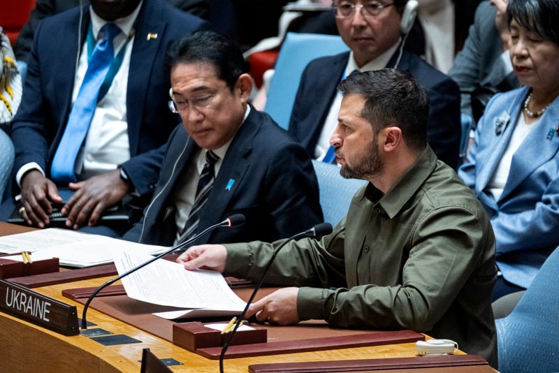 UN General Assembly Security Council