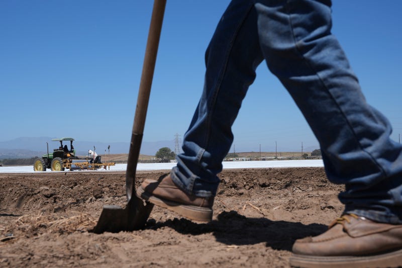 Immigration California Farms