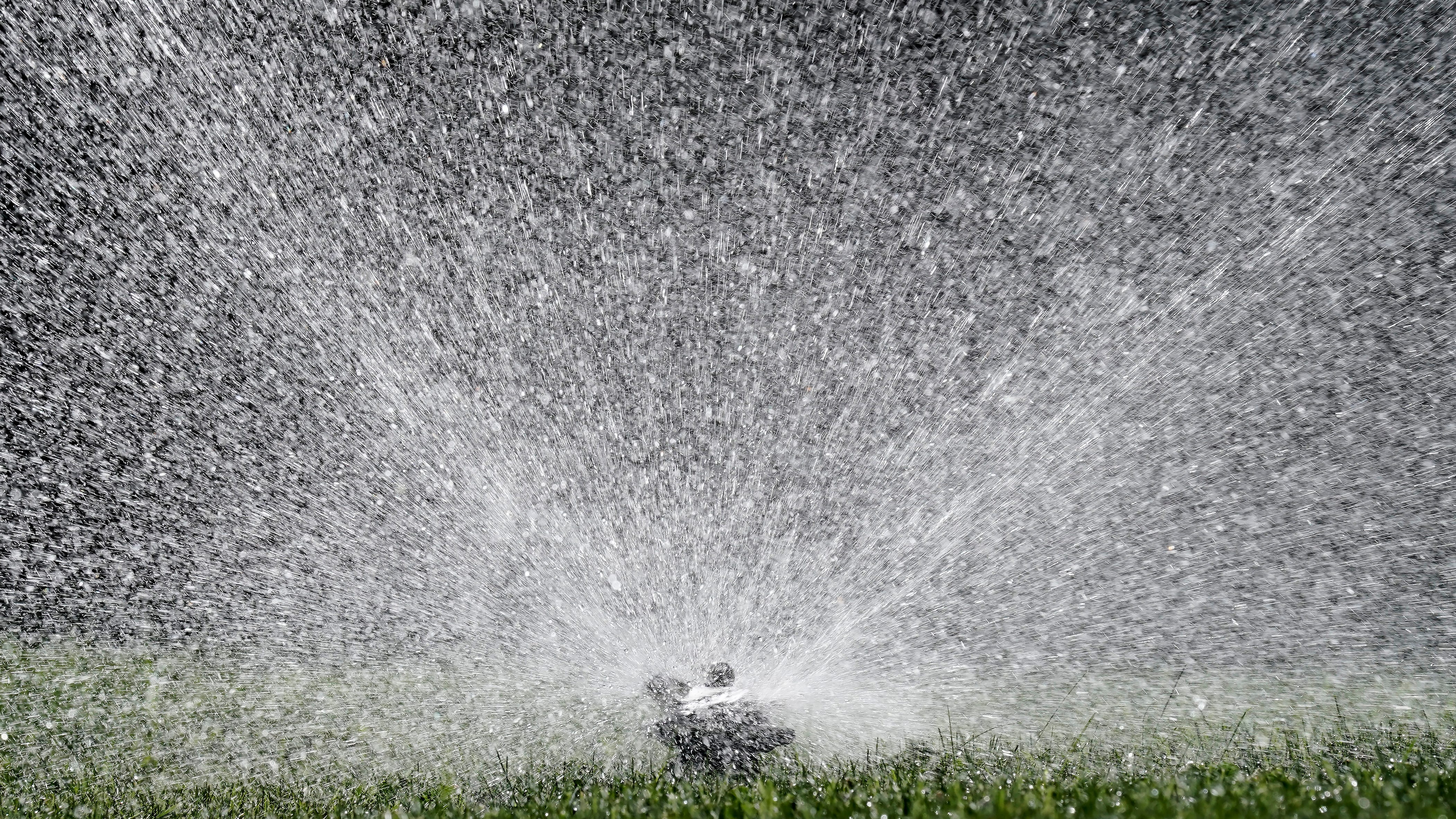 In drought-ravaged California, water use is up dramatically
