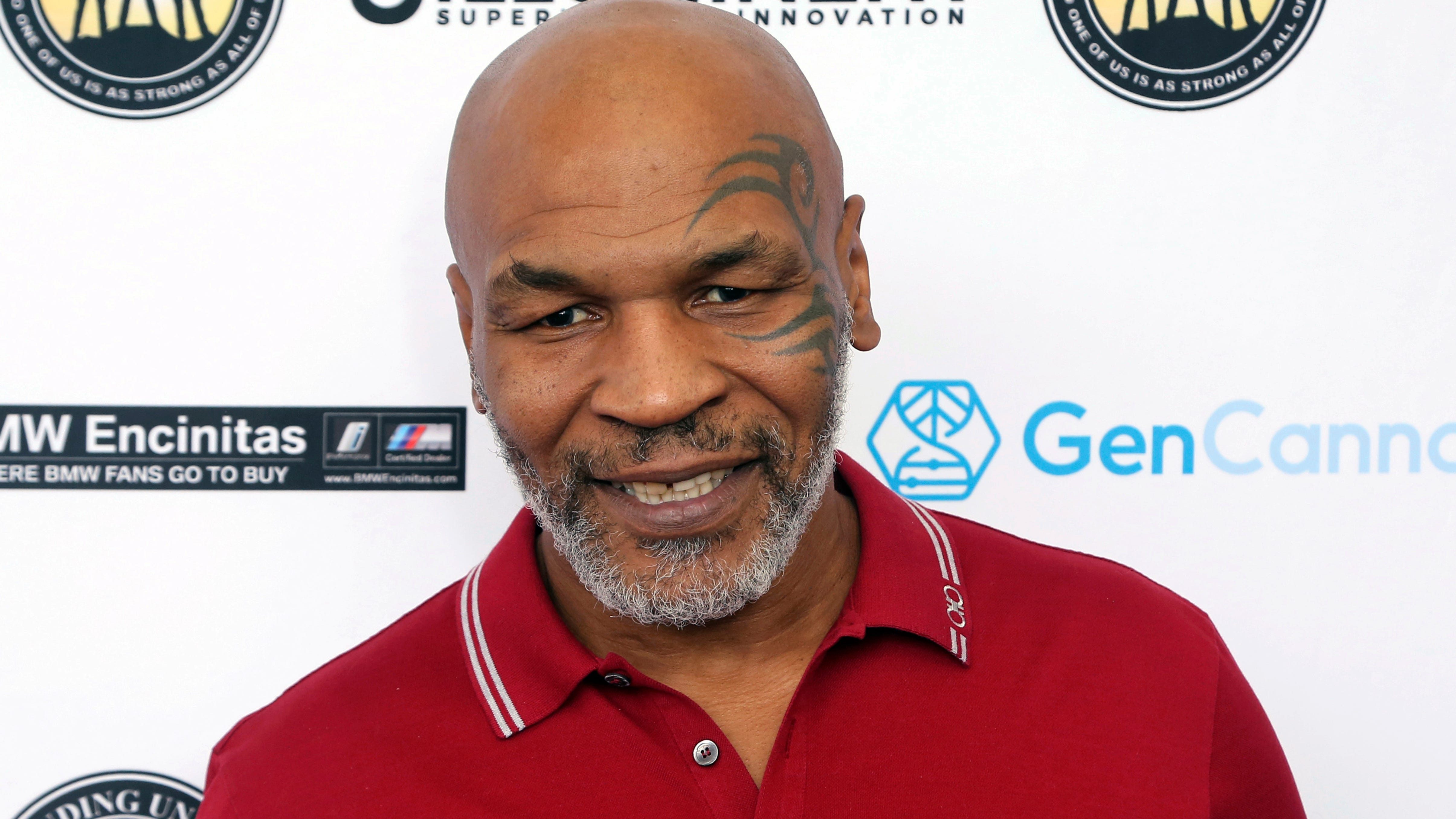 Video shows Mike Tyson punching airline passenger