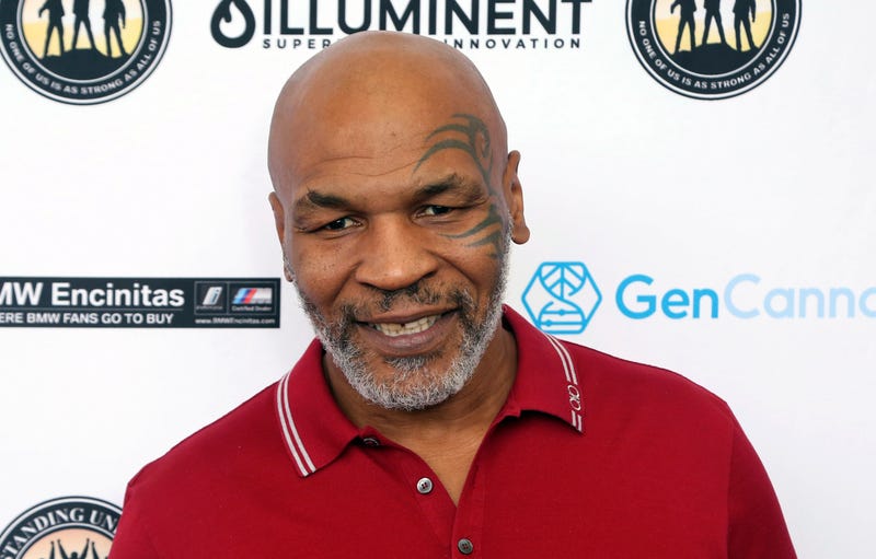 Mike Tyson Plane Confrontation