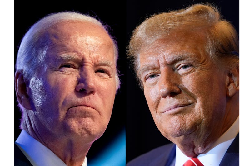 Election 2024 Michigan