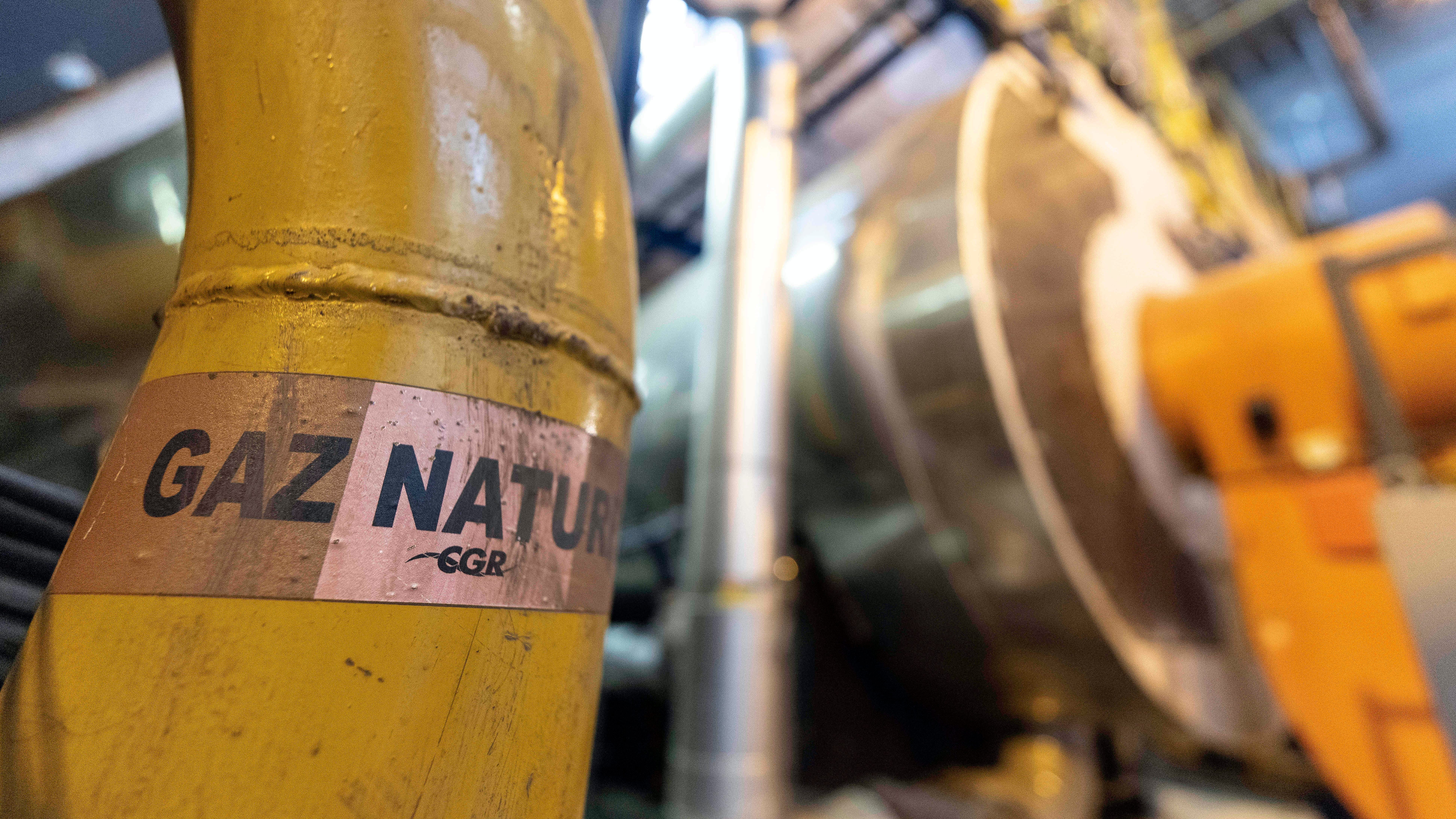 Europe urged to save natural gas to avoid shortage next year