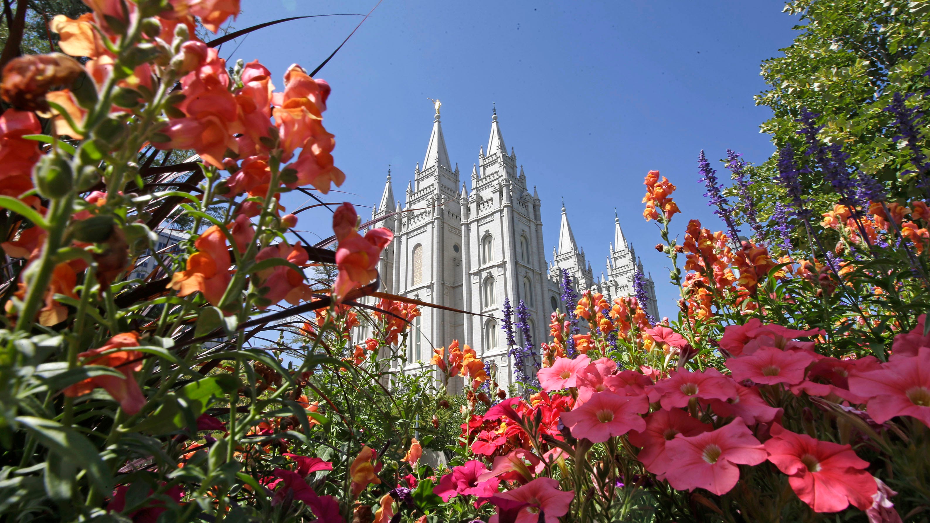 Mormon church voices support for same-sex marriage law