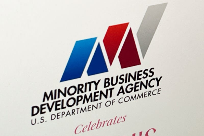 DEI Backlash Minority Businesses