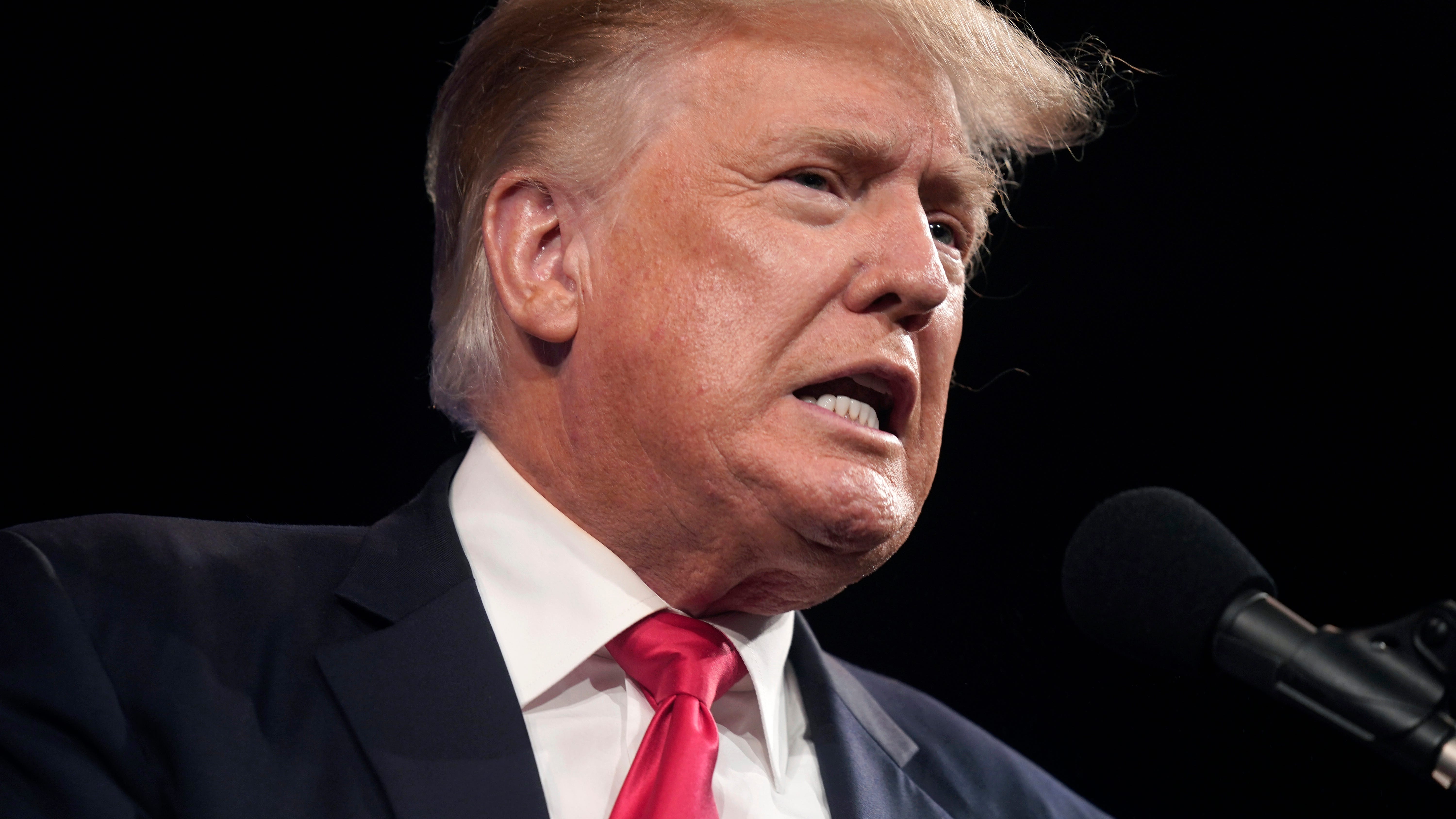 Trump sues niece, NY Times over records behind '18 tax story