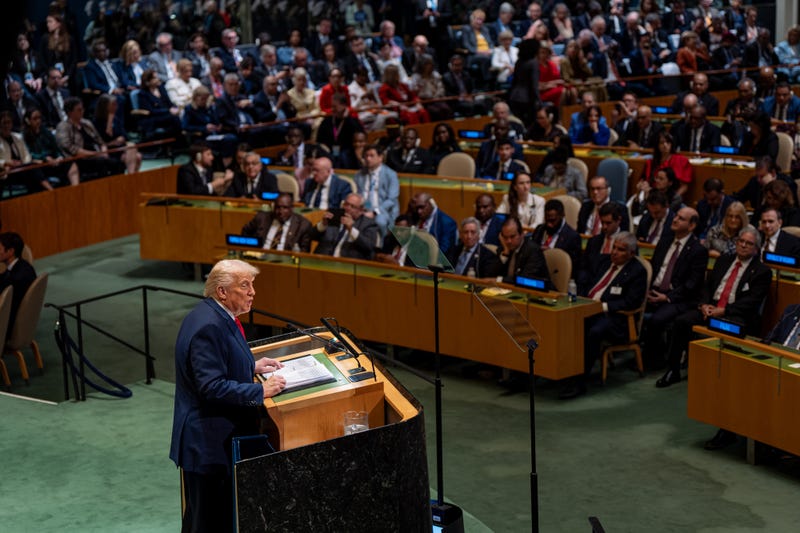 UN General Assembly