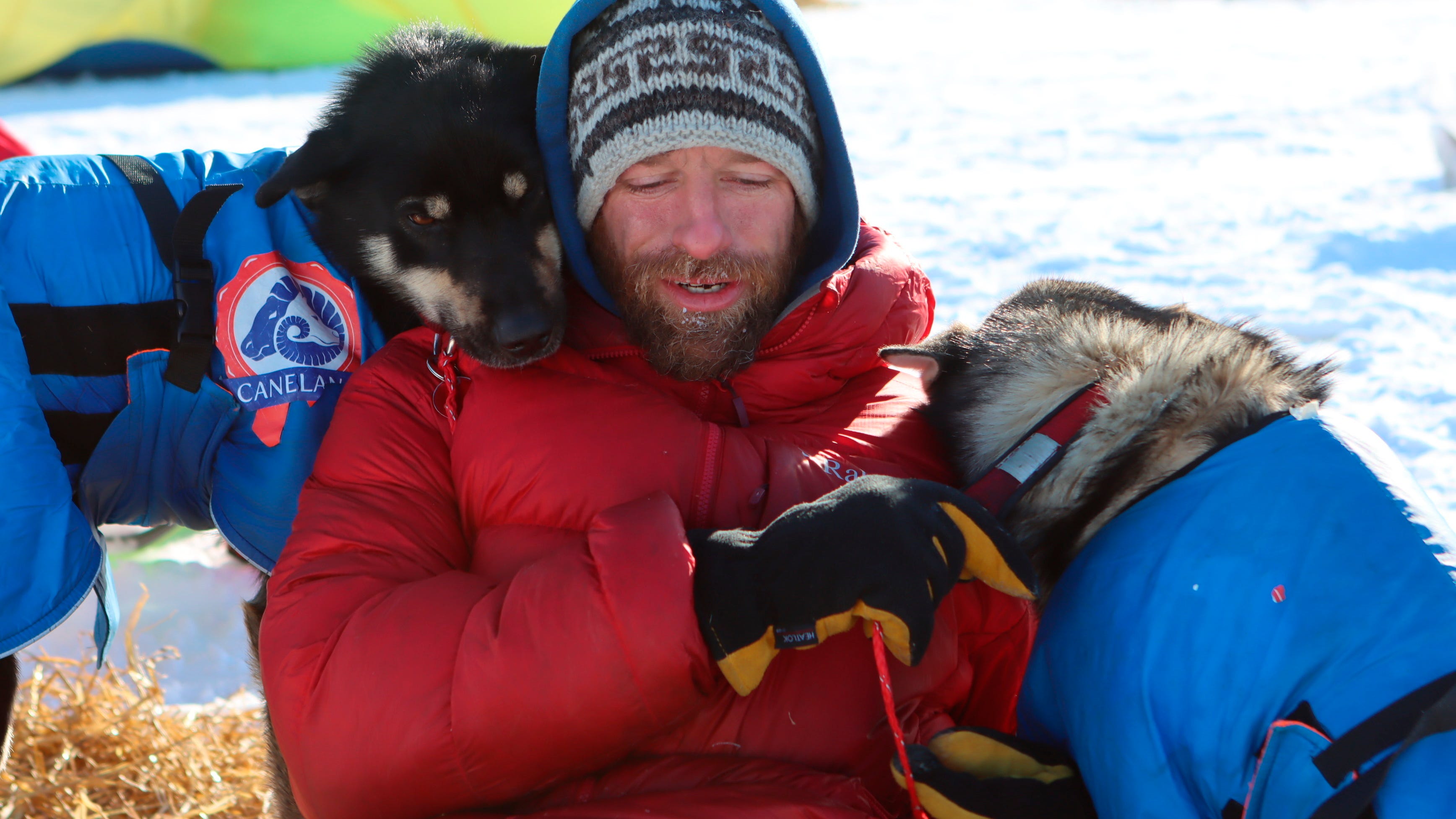 Dogs owned by Iditarod vet, reality TV star kill family pet