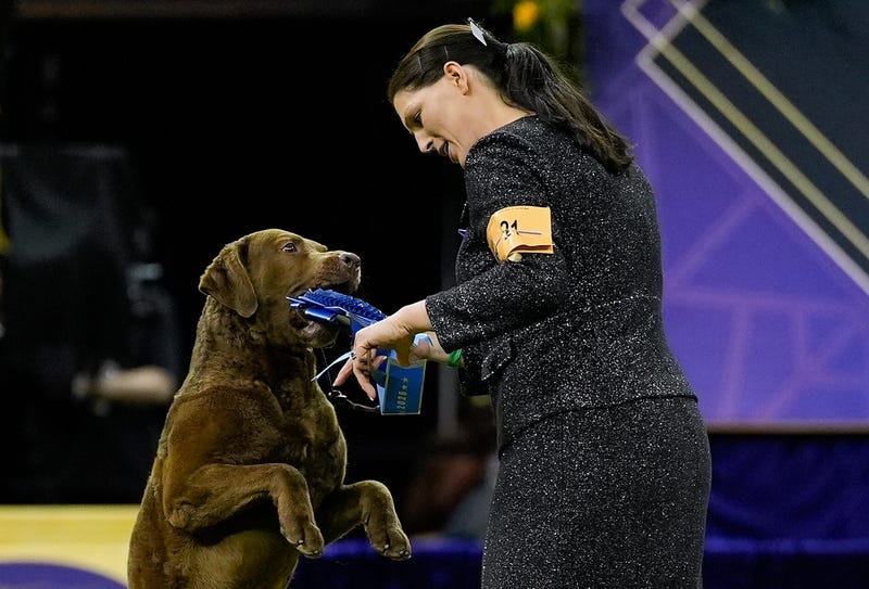 Westminster Dog Show