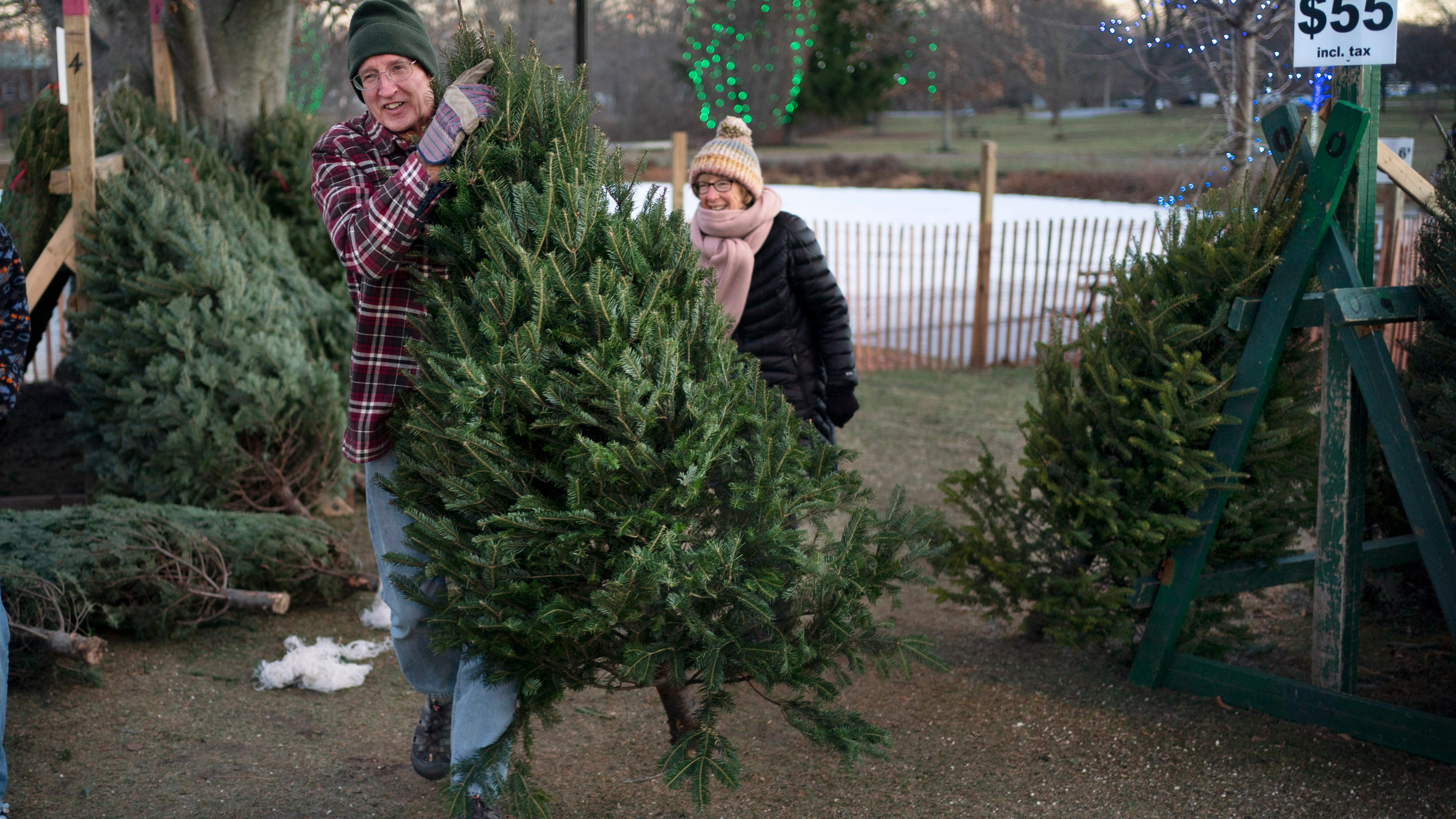 Christmas tree demand remains high despite inflation