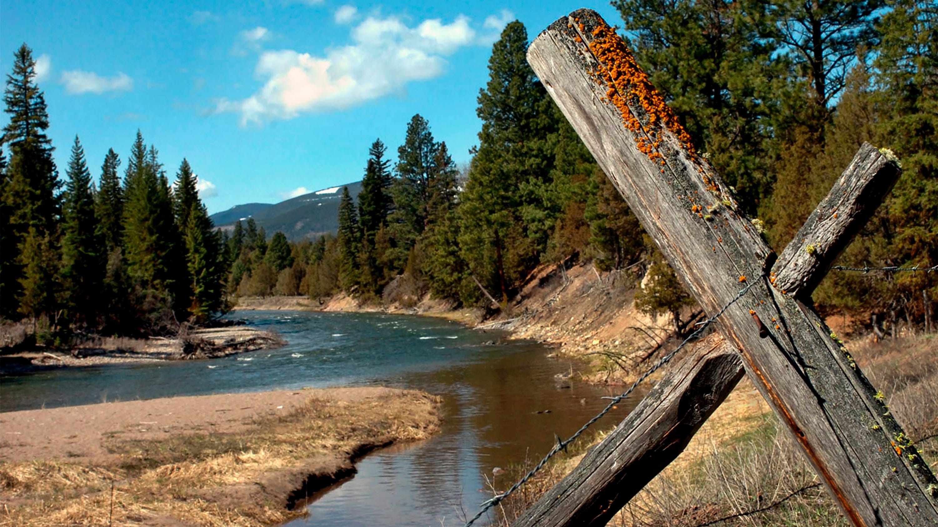 Grizzly bear kills bicyclist camping in western Montana