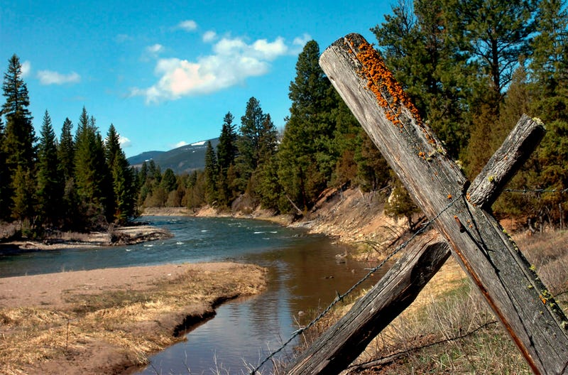 Fatal Grizzly Attack