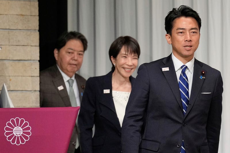 Japan Politics Explainer