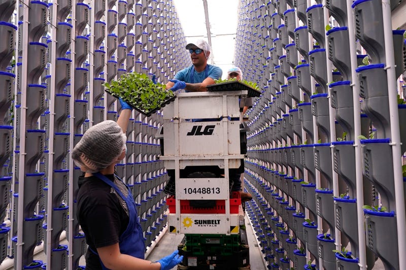Climate Vertical Farms