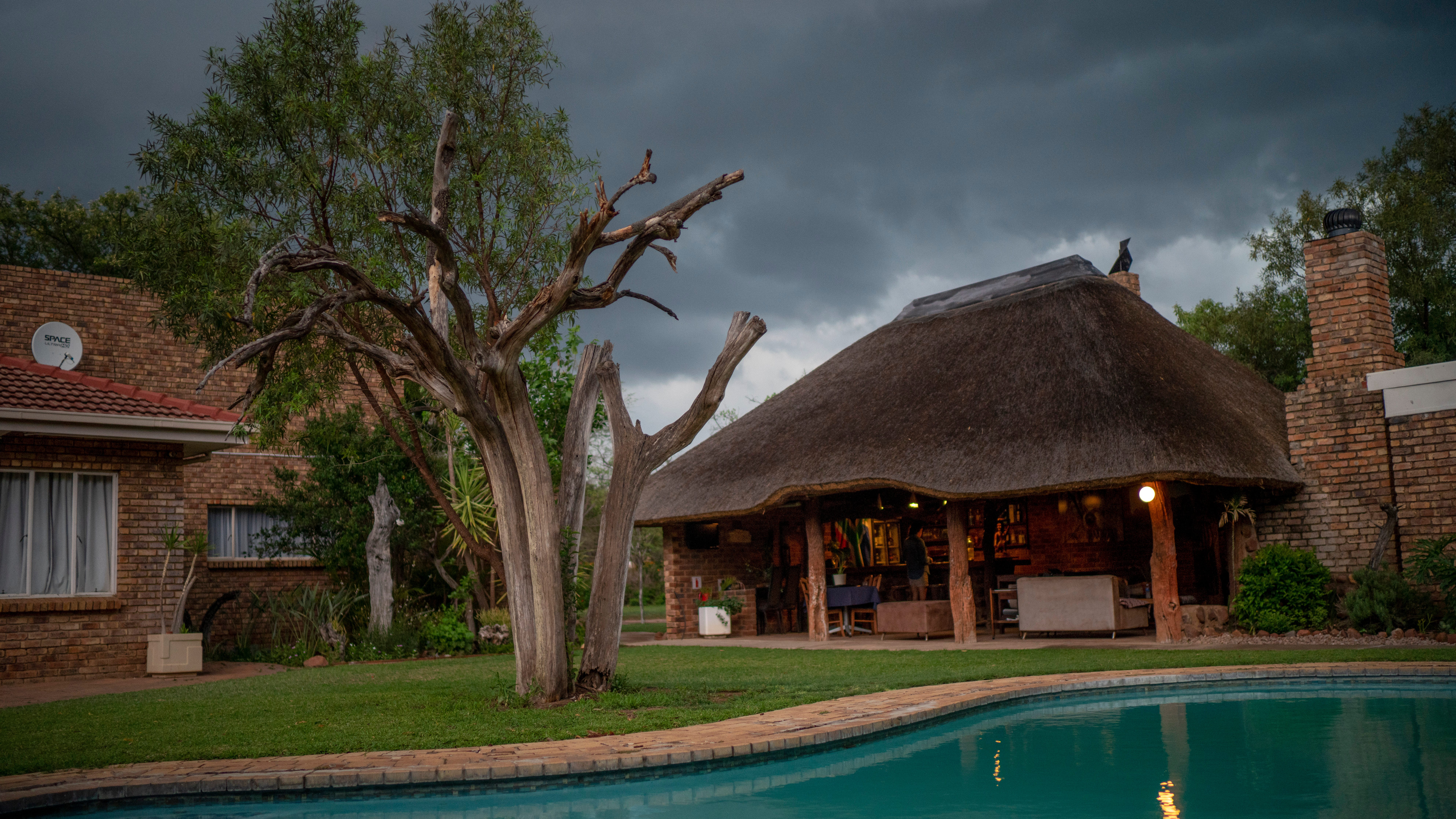 Omicron travel bans strike South Africa's safari business