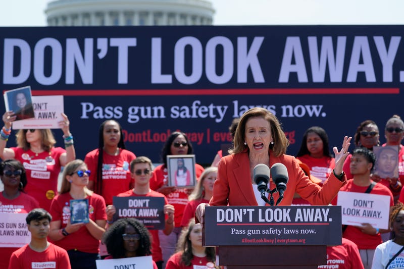 Congress Guns