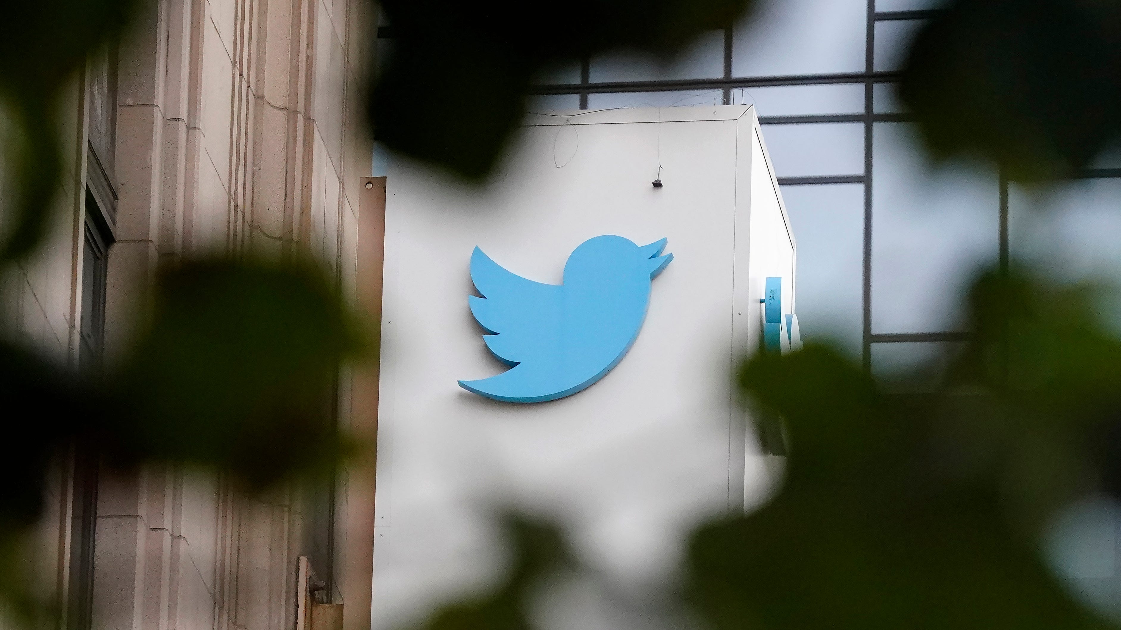 Twitter changes rules over account tracking Elon Musk's jet