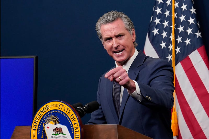 Immigration Governors