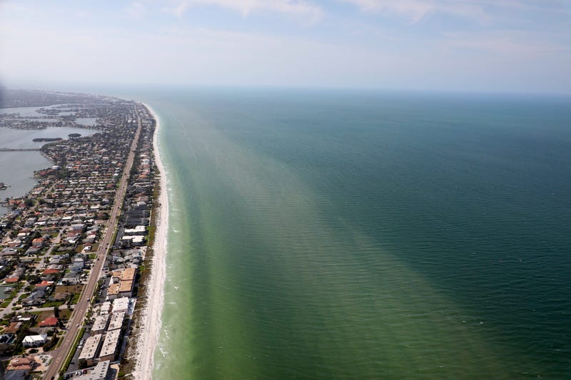 Red Tide Florida